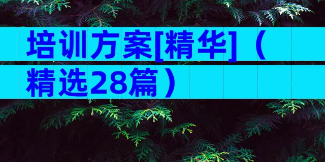 培训方案[精华]（精选28篇）